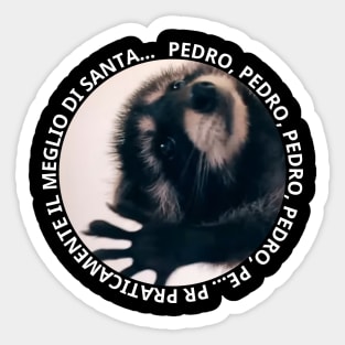 PEDRO, PEDRO, PEDRO, PEDRO, PE... PR PRATICAMENTE Sticker